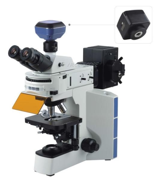 Phase Contrast Inverted Fluorescence Microscope Built In Transmitted Koehler