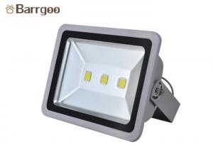 China Popular 10W - 600W Brightest Outdoor Led Flood Lights For Court Advertising Field on sale