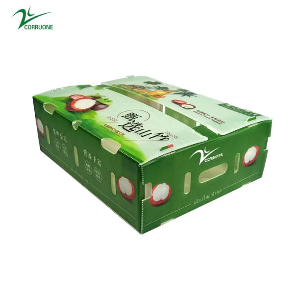 5mm 6mm Reusable Corrugated Plastic Boxes Recyclable UV Coating