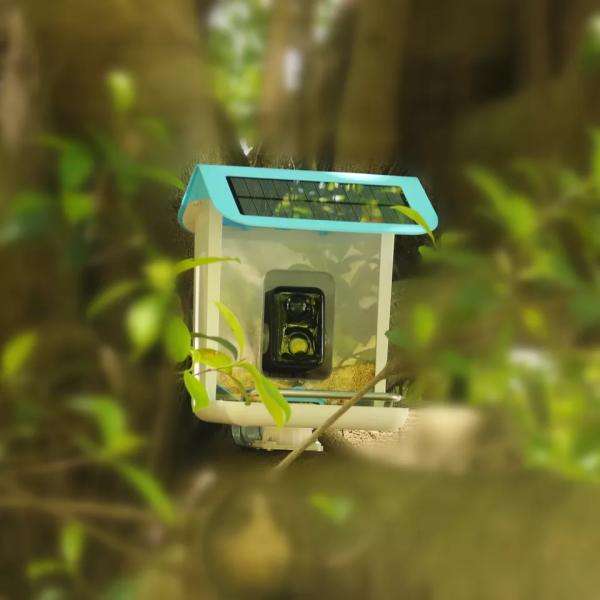 Garden Transparent Smart Bird Feeders With Camera ABS Shell Material
