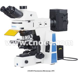 Wholesale Trinocular Infinity Optical Fluorescence Microscope With Halogen Lamp from china suppliers