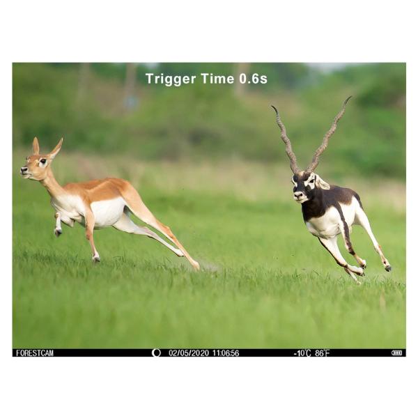 16MP 12VAC Night Vision Hunting Camera 1080P FHD IP66 Fixed Focus