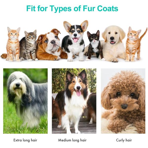 Sustainable Pet Grooming Kit Vacuum Cleaner with Silent Operation and Dust Bag 1L