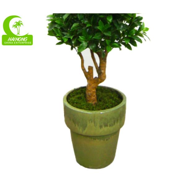 artificial money tree plant