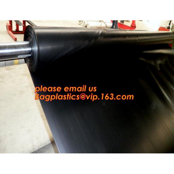 eco-friendly hdpe geomembrane liner geomembrane price,eco-friendly hdpe geomembrane liner waterproofing membranes BAGEAS