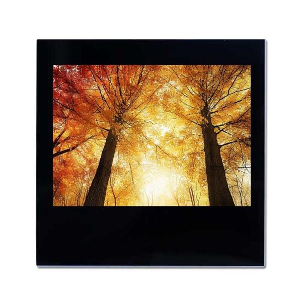 3.5 inch Custom Touch Screen LCD Display 500 Nits High Brightness LCD Touch