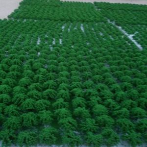 Jeff Model&Toys Material.Ltd