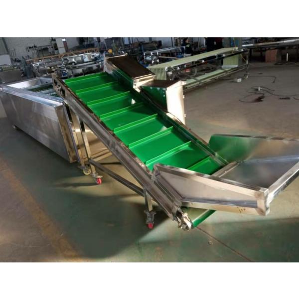 Onion Sorting Machine, Onion Grading Machine, Onion Sorter Machine