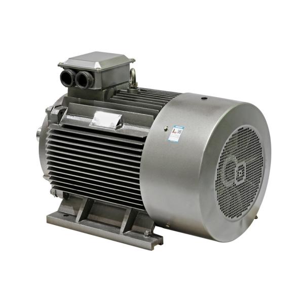 YE3-90L-2-2.2-380V-IP55-Class F-IM B3 High Efficiency LV Variable Frequency