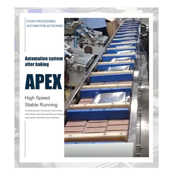 Customized Cookie Biscuit Box Printing Automatic Emballage Carton Sealer Machine