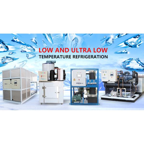 5T Brind Machine Shape Refrigerator Ice Block Moulding Machine