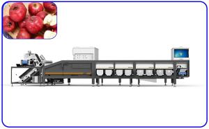 Wholesale Red Dates Automatic Grading Machine from china suppliers