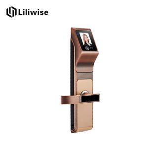 Wholesale Home Face Recognition Door Lock Multiplicate Ways To Unlock Operation Easily from china suppliers