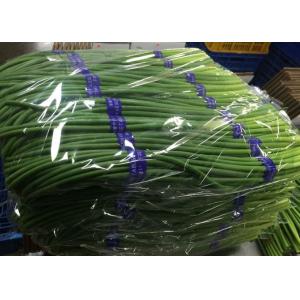 Wholesale Garlic Growing Green Stems Stalks Sprouts from china suppliers