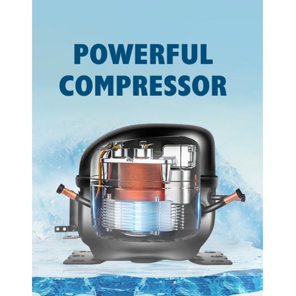 Air Cooling Upright 2 Glass Door Display Chiller 800L Digital Temperature Control