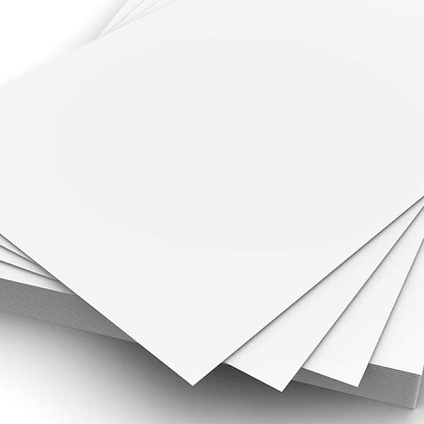 Uncoated White Folding Box Board C1S FBB Jumbo Roll for Eco-Friendly Packaging