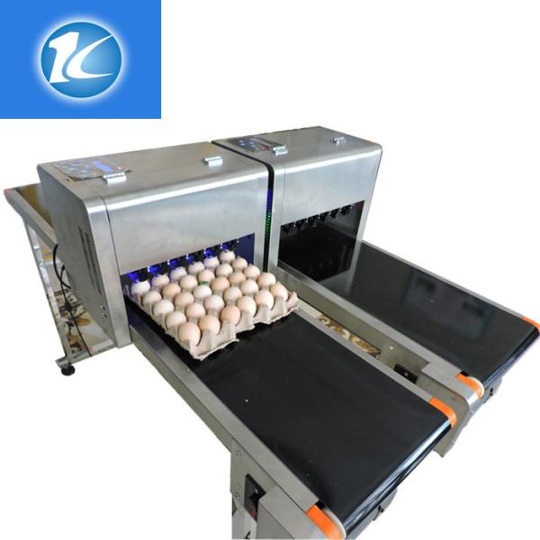Automatic Egg Date Stamp Machine / Continuous Inkjet Printer For Food Industry