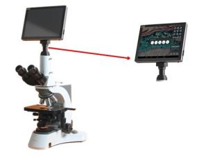Wholesale High Resolution 9.7&quot; Tablet Microscope Camera Android System Measuring Touchscreen NC-SP9700 from china suppliers