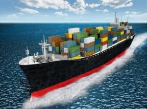 China China To US Ocean Freight Forwarders Lcl Sea Freight DDP DDU on sale