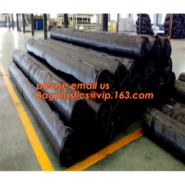 eco-friendly hdpe geomembrane liner geomembrane price,eco-friendly hdpe geomembrane liner waterproofing membranes BAGEAS