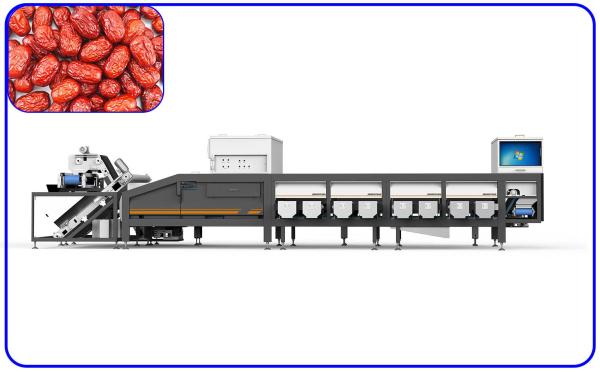 Quality Precise Red Dates Sorting Machine 380V Stainless Steel 1 T/H Intelligent for sale