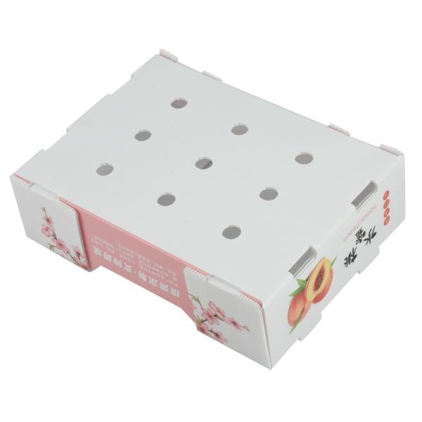 White Rectangular Plastic Corrugated Box Fruit Vegetable Gift Packing Corrugated Plastic Storage Bins