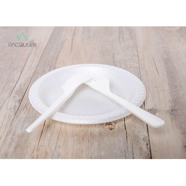 Sturdy Eco Friendly Disposable Plates Cutlery , To Go Utensils PLA Color