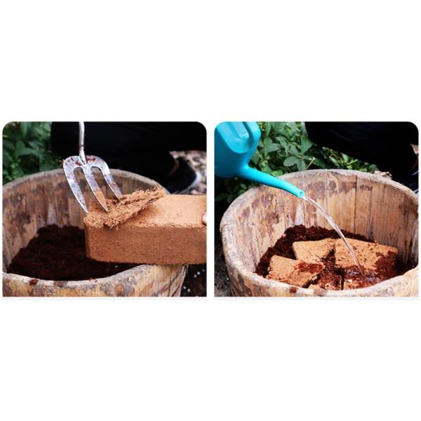 Supply Hydraulic 5KG Cocopeat Block Press Packing Machine for Plant Fiber Block