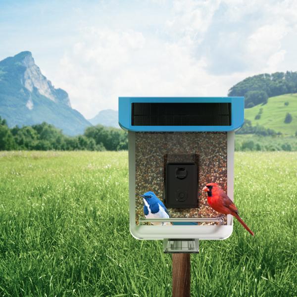 Smart Bird Feeder with Camera, Bird Watching Camera Auto Capture Bird Videos & Notify When Birds Detected, Bird Watching