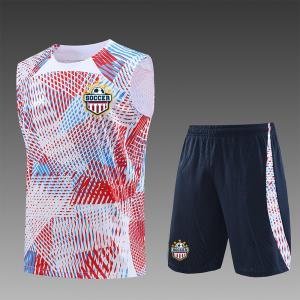 Wholesale Colorful Soccer Training Vest Vibrant Eye Catching Football Vest Bibs from china suppliers