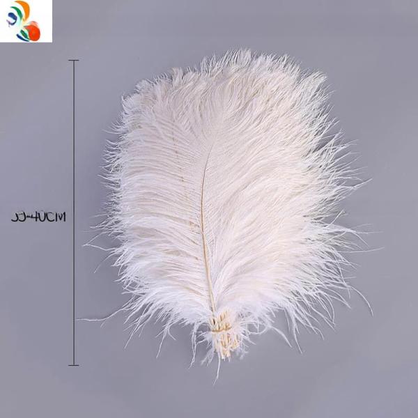 Ostrich Feather for Millinery Supplies EMS Shipping Party and Carnival Decoration