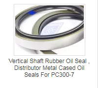 CFW High Pressure Rotary Shaft Seals Rubber BABSL Oil Seal Collection Of Sizes Made in Germany