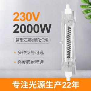 China 230V 2000 Watt Quartz Lamp Halogen Double Ended Light Bulb R7s Heat Lamp on sale