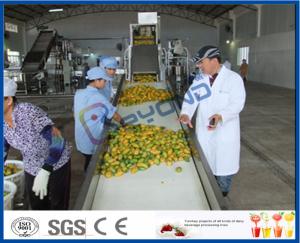 Wholesale Complete Turn key Project Mango Fruit Juice Processing Line High Engery Saving from china suppliers