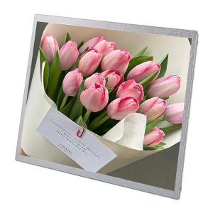 30 Pin 19 Inch Small Lcd Panel Advertising Display Sunlight Readable Lcd Module