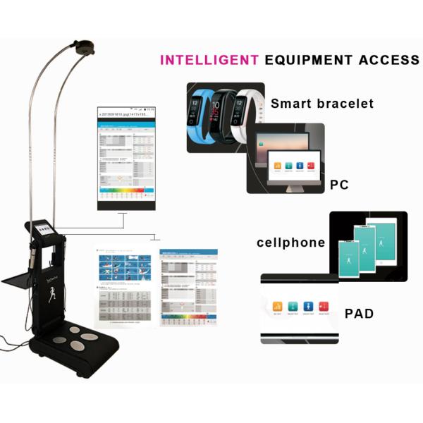 WIFI 180μA Body Composition Analyzer 240V Three Differenct Frequency