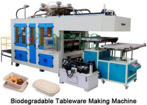 Wholesale Paper Plate Tableware Making Machine Dry And Cut In Mold CE Certificate from china suppliers