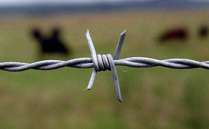 Double Twist Barbed Wire