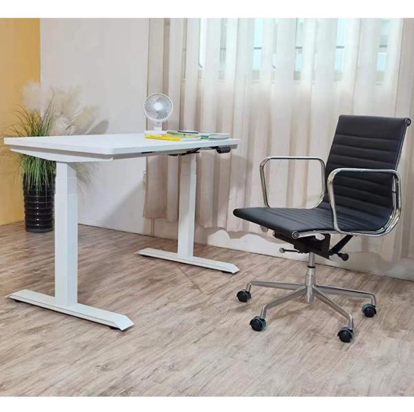 Adjustable Height Kid Computer Study Standing Table with Dual Motor in Custom