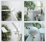 12V/24V 400w/500w Hot Sale Residential Wind Power Generator M3 Model,Permanent