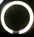 16w smd led ring light、16w led circular tube、t9 led circular light 16w、g10q led
