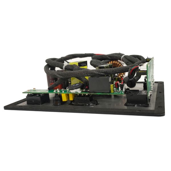 Professional 250W Class D Subwoofer Plate Amplifier with 20-200 Hz Frequency Response and