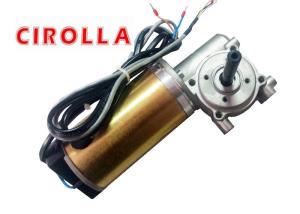 China Golden Color Heavy Load Automatic Sliding Door Motor / DC Gear Motor With Encoder 100W 24VDC on sale