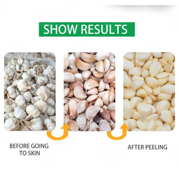 25000G/H Garlic Peeling Machine Garlic Skin Removing Machine Garlic Peeler