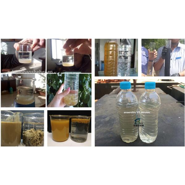 5-300m3/h Waste Water Treatment Dissolving Air Flotation for Sewage Reuse Treatment