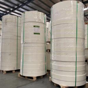 China Food Grade 100% Virgin Wood Pulp 2 Pe Coated Paper Coffee Cup Bottom Paper Roll on sale