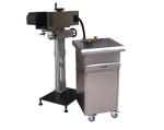 800W 600x900mm Laser Date Coding Machine Adjustable Speed
