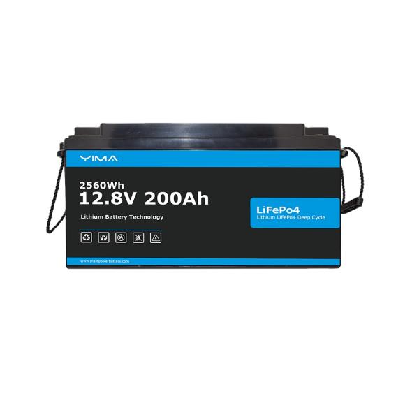 Customized 24V Lifepo4 Battery Pack 100Ah With 100A BMS For Golf Cart