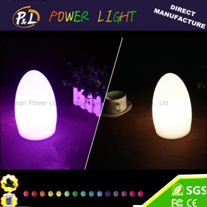 China Home Decoration Mood Light LED Illuminated Table Lamp on sale
