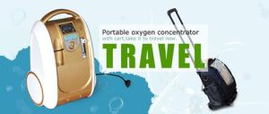 Whole set mini portable oxygen concentrator,with battery oxygen concentrator